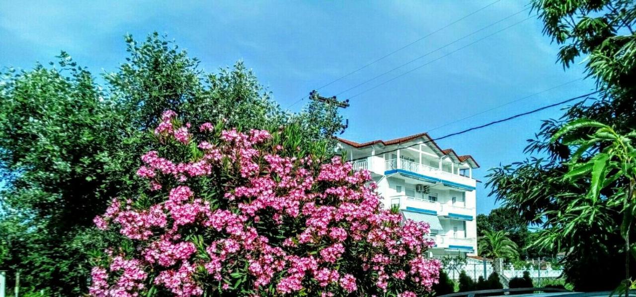 Apartament Panorama *