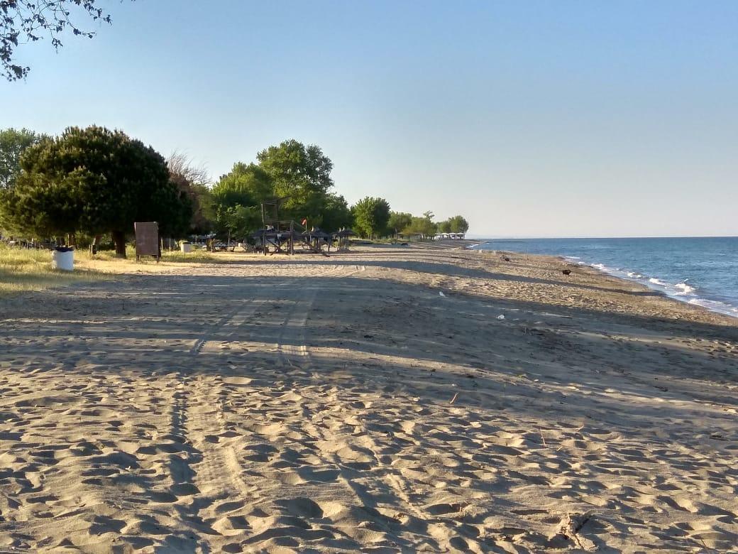 Panorama Paralia Skotinis