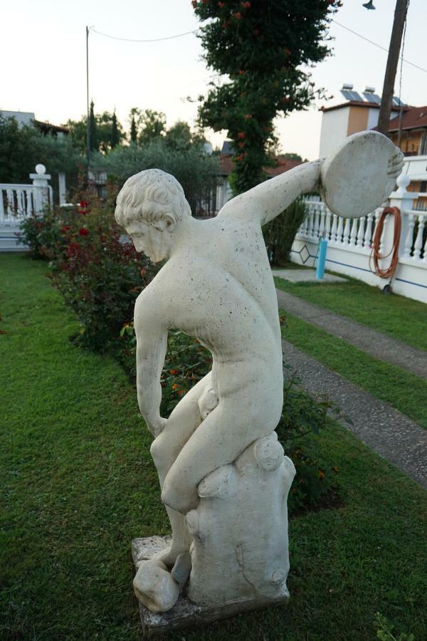 Panorama *